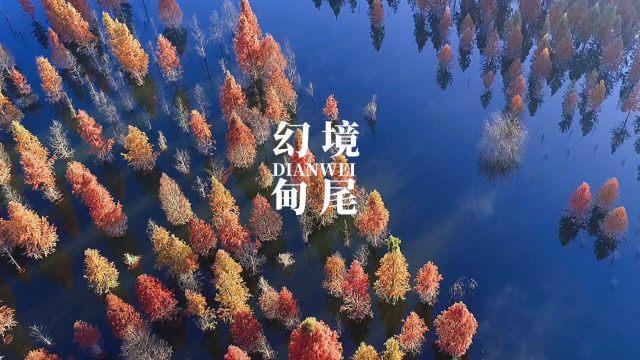 韩安冉女儿被确诊多动症!曝父亲小猪有多动症,家族中有精神病史