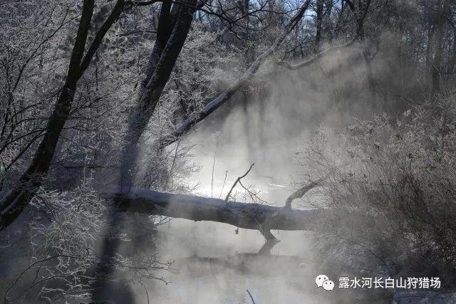 僵尸敲方块