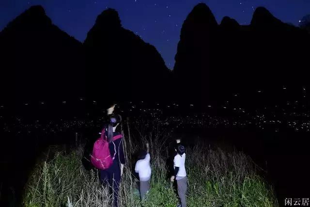 荒岛枪训