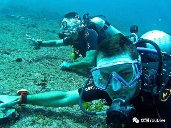 夏之许诺