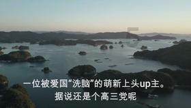 植物大战僵尸8