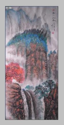 春雨直播app