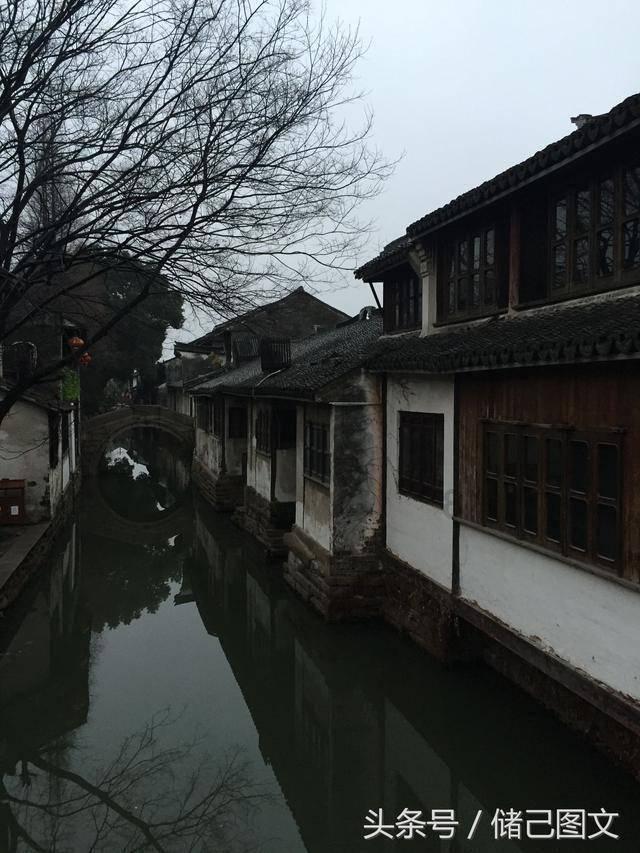 微畔中职升学下载游戏画面